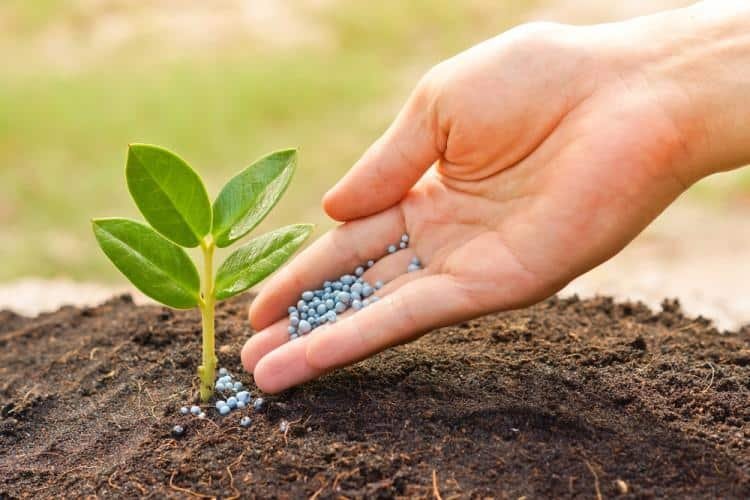 Agro products & Fertilizers