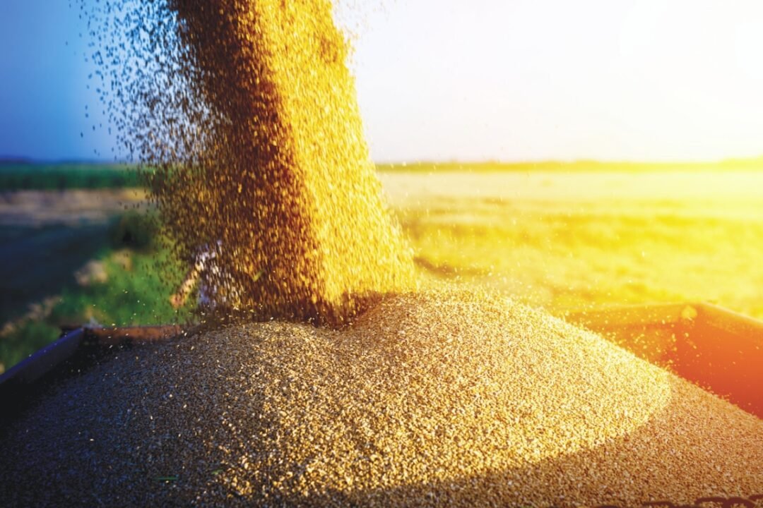 Food allergens, Mycotoxins and Other adulterants