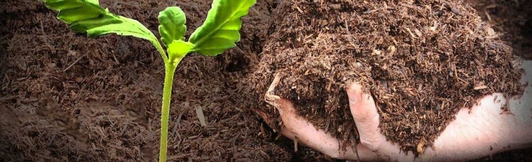 Soil and Sludge