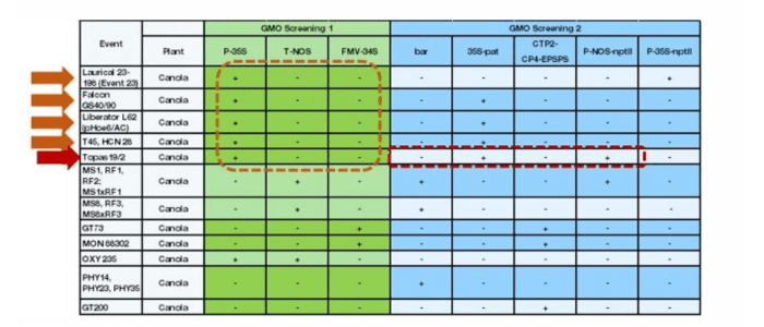 screening rwsult of PCR GMO testing