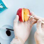 HACCP testing lab analyzing food samples for safety