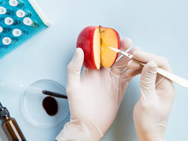 Importance of HACCP Testing Lab in Food Safety