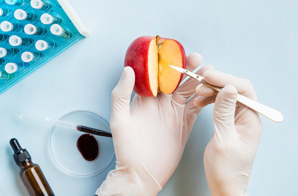 HACCP testing lab analyzing food samples for safety