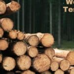 Importance of Wood Testing Labs