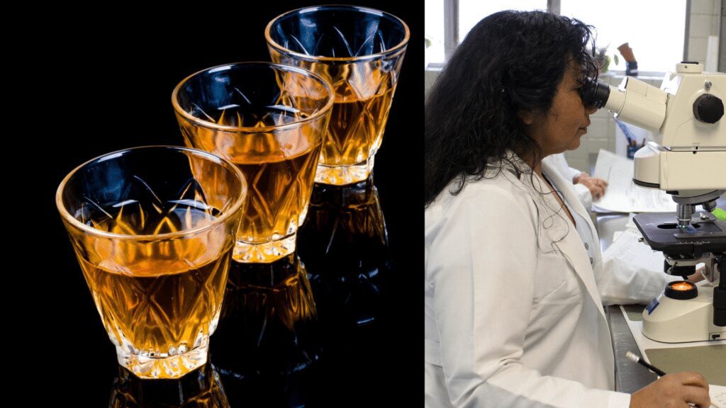 What is the process for alcohol testing in UAE, and what are the