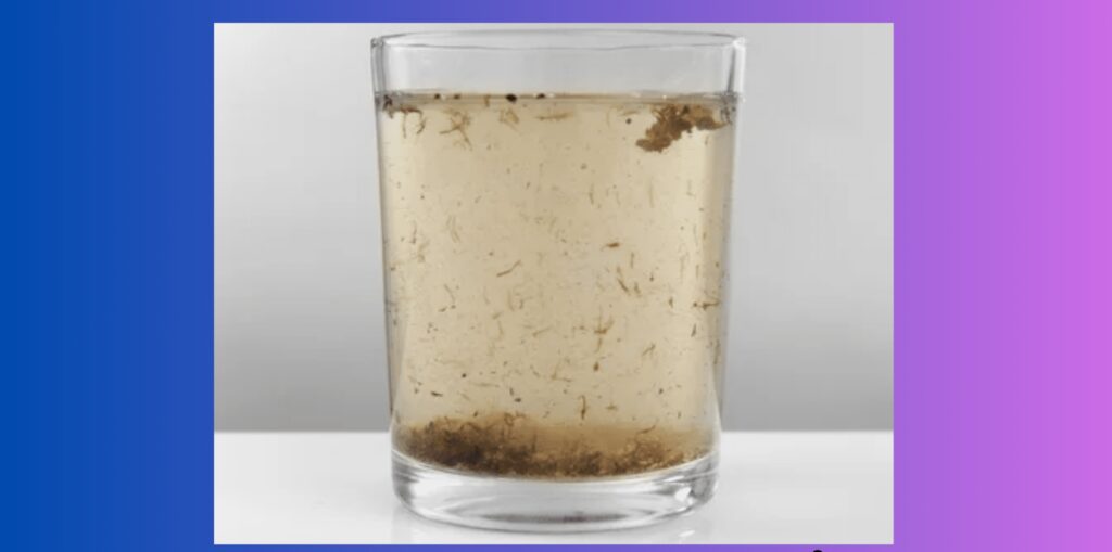 Waste Water Testing