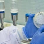 What Are the Key Functions of a Microbiological Testing Lab